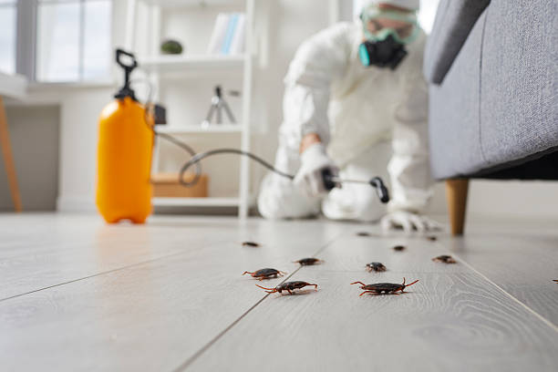 Post-Treatment Bed Bug Interceptor Monitoring in Point Marion