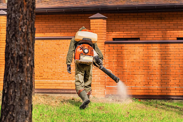 Bed Bug Clearance Verification and Documentation in Point Marion